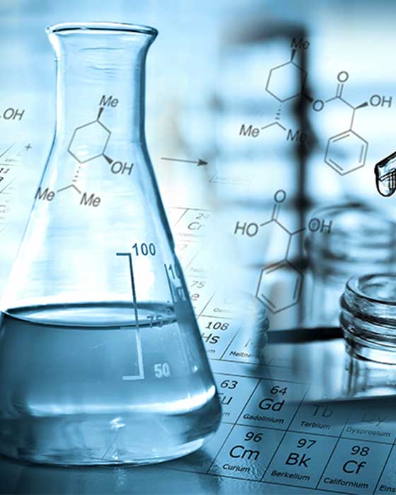 Oncology Research Review Issue 101