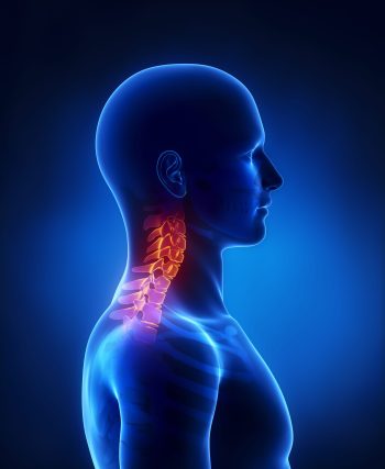 shutterstock_128794678