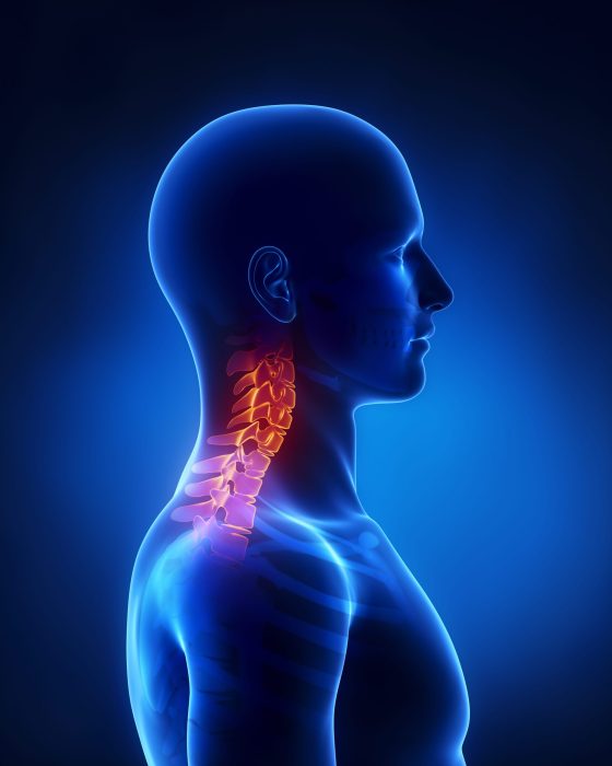 shutterstock_128794678